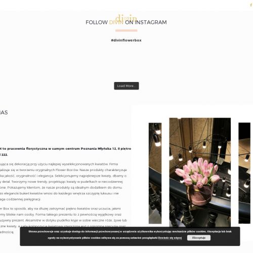 Elegancki flower box - Poznań