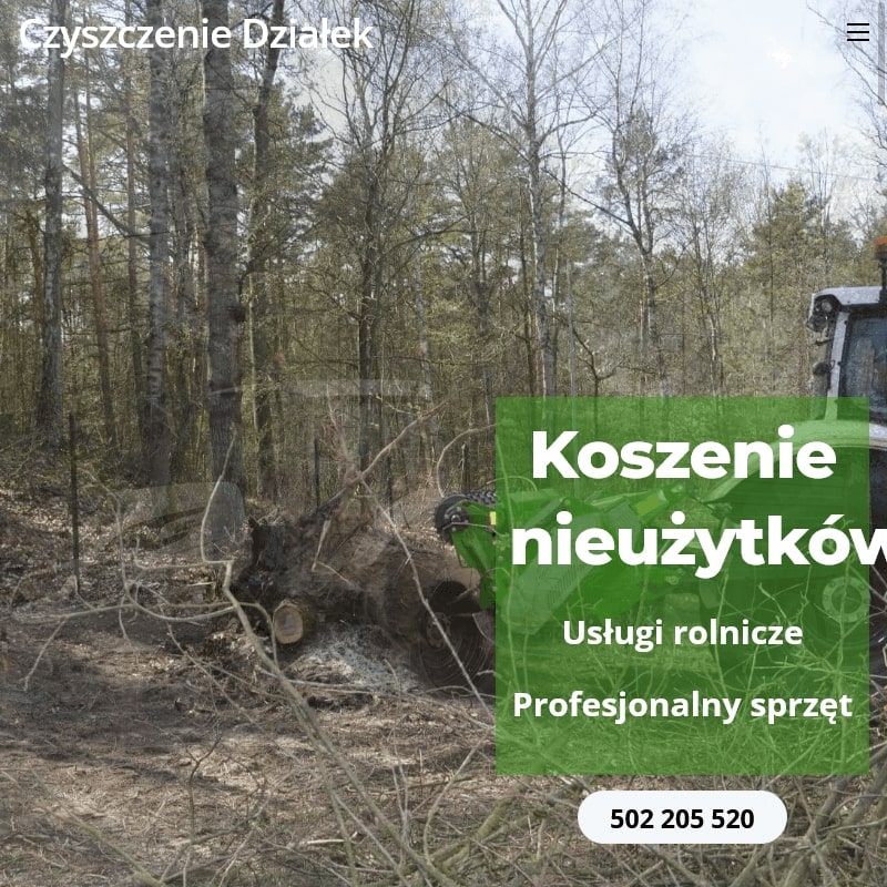 Wycinka drzew mazowieckie - Warszawa